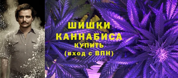 шишки Карталы