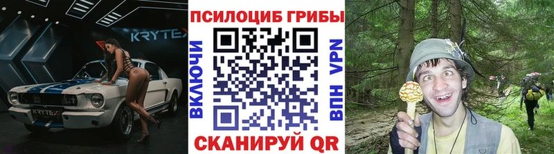 Купить  Северодвинск  Галлюциногенные грибы GOLDEN TEACHER 